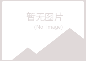 伊春新青盼夏工程有限公司